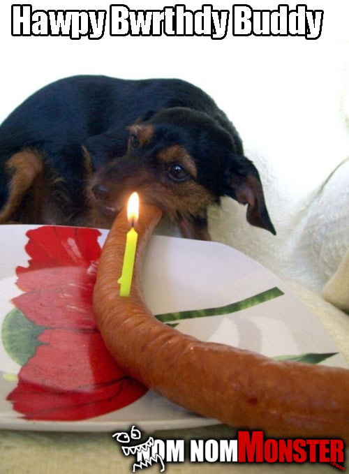 Doggie Eating Birthday Sausage