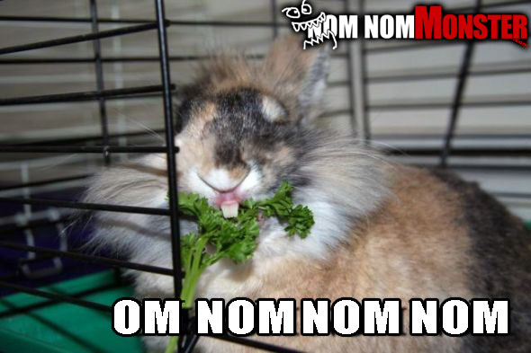 Bunny nom nom some lettuce