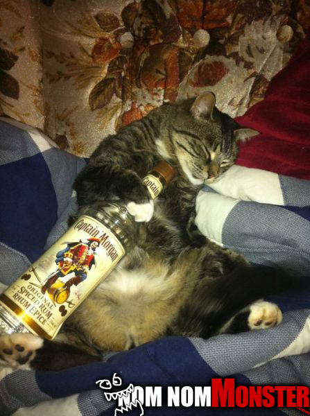 cat-boozer